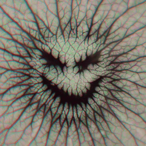 FLOWTAPE 005 w/ Sem Smirnov (14.11.25)