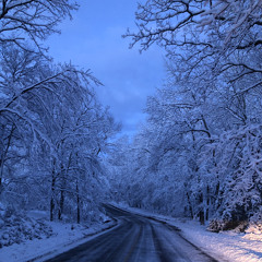 Wonderland