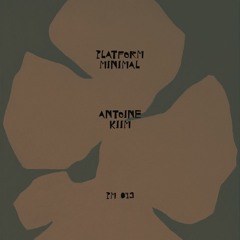 PM 049 / Antoine Kiim