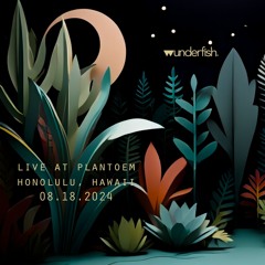 Live Ambient at Plantoem Hawaii - August 18, 2024