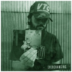 They Invade, Saltee- Everchanging