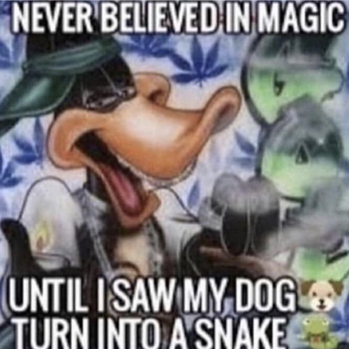 LBG ROWDY X GP - ONE OF MY DAWGS