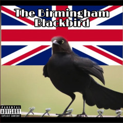The Birmingham Blackbird