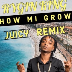 RYGIN KING - HOW MI GROW [JUICY SYYCHRONIC REMIX]
