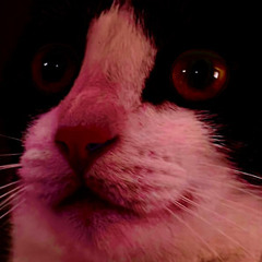 Hardcore Techno 😈