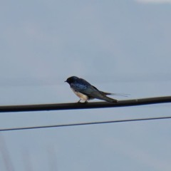 이어피더 9주차