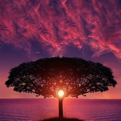 Summer Fruit -  Swerv.WAV