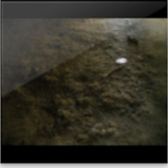 Untitled playlist