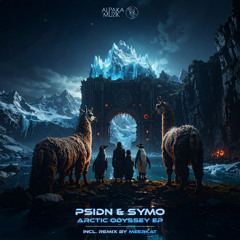 PSIDN - Arctic Exploration (Original Mix) **PREVIEW**