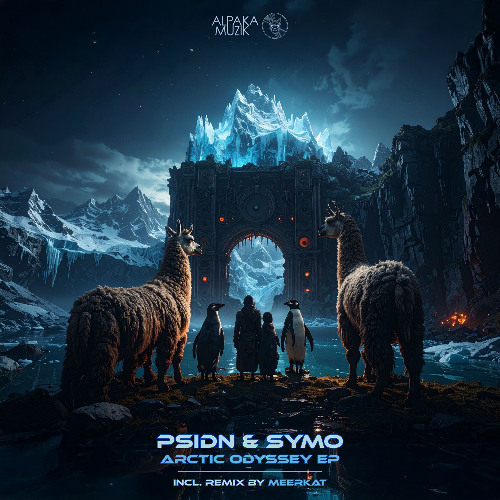 Psidn & Symo - Frozen in Time (Meerkat Remix) **PREVIEW**