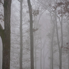 Foggy Bells