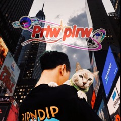 Paul Ray feat. 33 1_3 - More Emotion _ Long Dayz