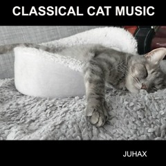 CLASSICAL CAT MUSIC