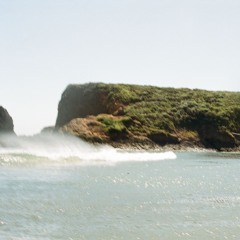 Rolling Roses - Elbee, Late Riser, Leah Woods