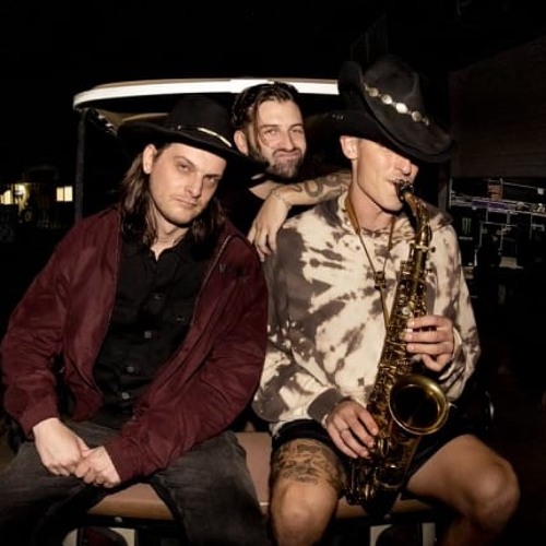 ZD b2b Griz