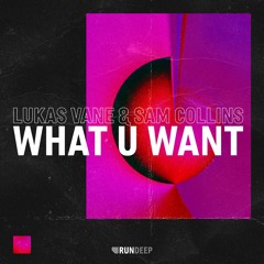 Lukas Vane & Sam Collins - What U Want