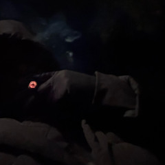 sleezo & kashmustdie - lips (prod. tranqo) (chris finesse exclusives + slump audios)