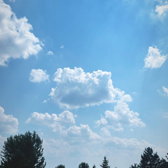 holyfield [p. tatchy]