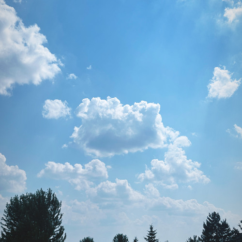 holyfield [p. tatchy]