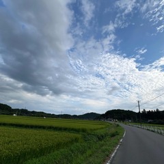fishtail / 品川南蛮