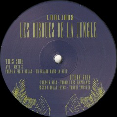 Various Artists - Un Éclair Dans La Nuit EP (LDDLJ008)