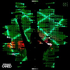 Enrico Sangiuliano, Charlotte de Witte - Into The Night x Reflection (Fernando Caneo Edit)