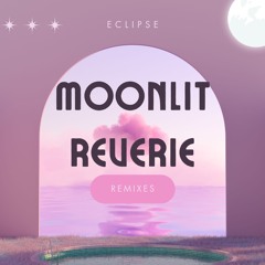 Moonlit Reverie (R&B Remix)