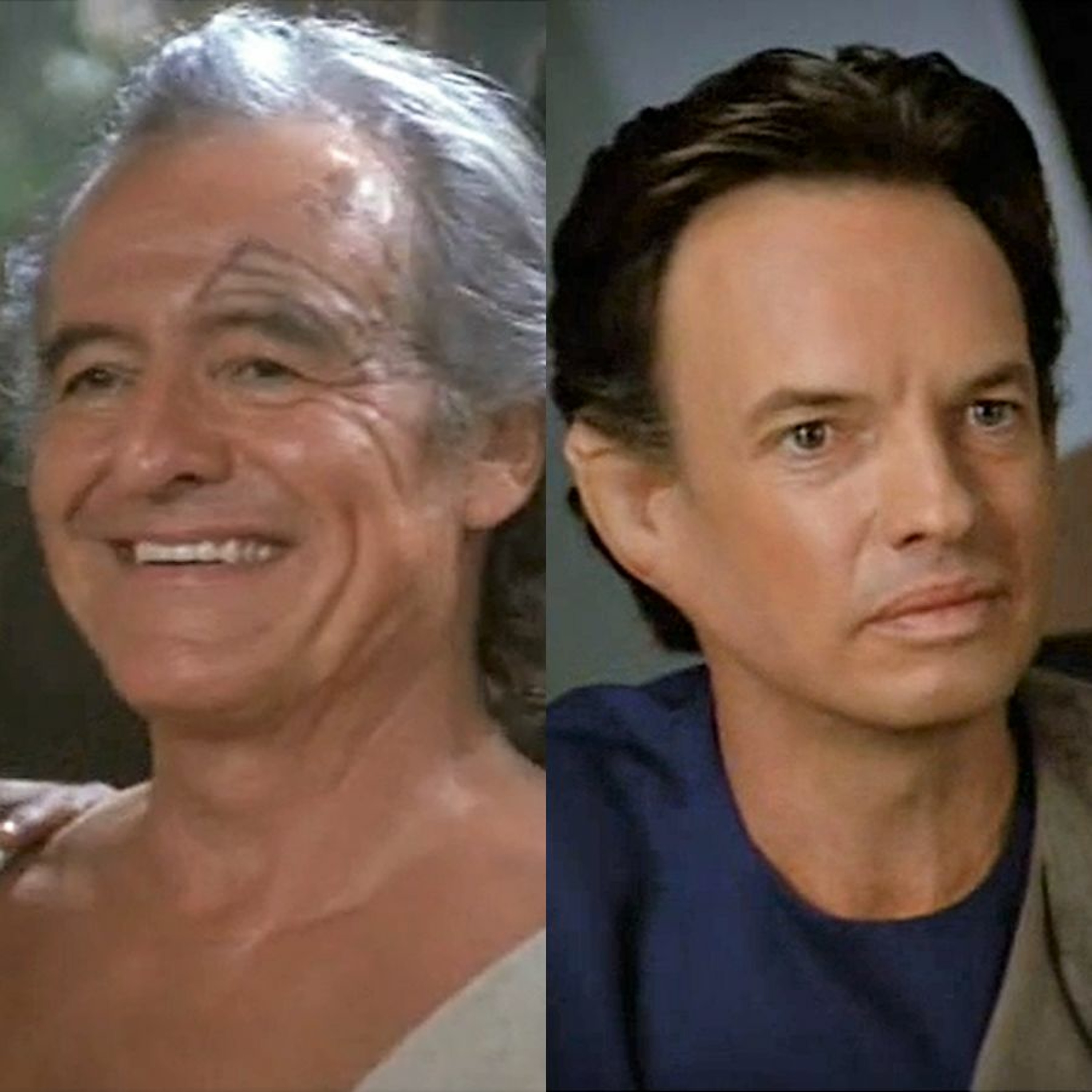 A Star to Steer Her By