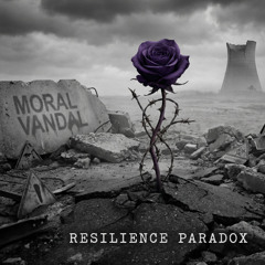 Resilience Paradox