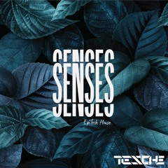 SENSES ed.Tech House | Mixed By TESCHE
