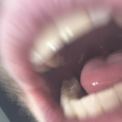 RED BEAM (ROUGH DRAFT)