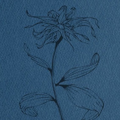 R Sound Design - flos (Ivdotto cover)