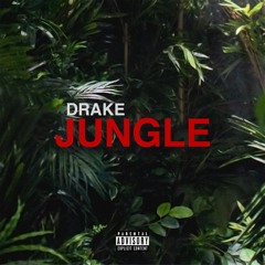 Drake - Jungle(DJ RODE - Kiss Me More Blend)