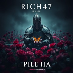 Pile ha | Rich47