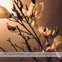 Polaroid Notes - Nothing Left But Memories