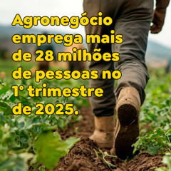 Agronegócio emprega mais de 28 milhões de pessoas no 1° trimestre de 2025