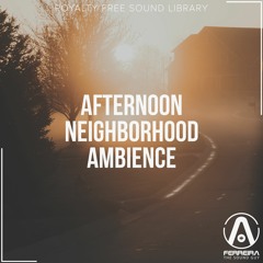 Afternoon Neighborhood Ambience - Overview