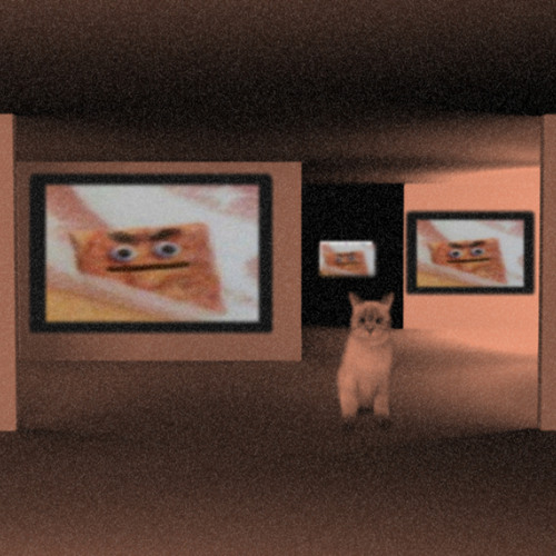 cinnamon dimension