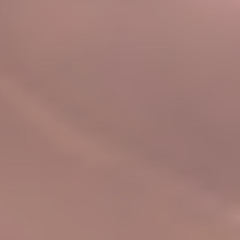 IonFwChu