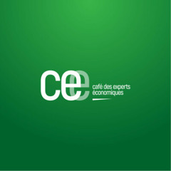 CEE | Vers la fin de la primauté de l'intérieur sur l'extérieur dans le financement des projets ?