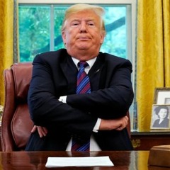 Trump Techno Stomp. Rockin Rog