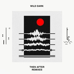 Wild Dark - Born By The River Ft. Alex Who (Nhii Remix)