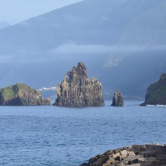 Assis sur la colline