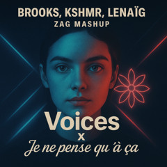Brooks, KSHMR, Lenaïg - Voices X Je ne pense qu'à ça (ZAG Mashup)
