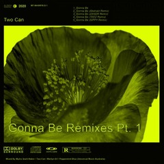Two Can feat. Martyn Ell - Gonna Be (Abstrakt Remix)
