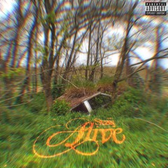 Il pianeta delle scimmie