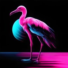 [RR195] Flamingo Street Rave