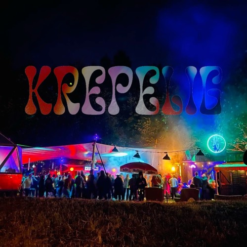 Disco Director & Schub Loops @ Krepelig 2024