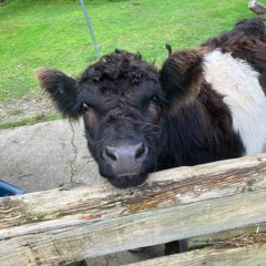 The flash of the creep(demo)