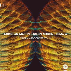 Christian Martin & Justin Martin - Belter (Preview Clip)
